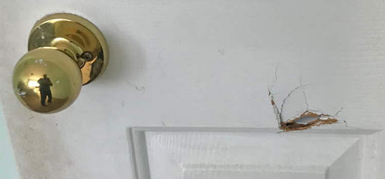 interior door hole repair Clovis